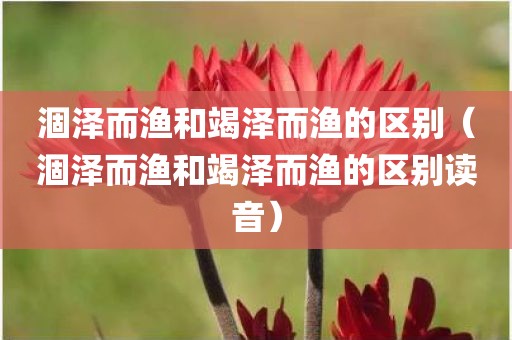 涸泽而渔和竭泽而渔的区别（涸泽而渔和竭泽而渔的区别读音）