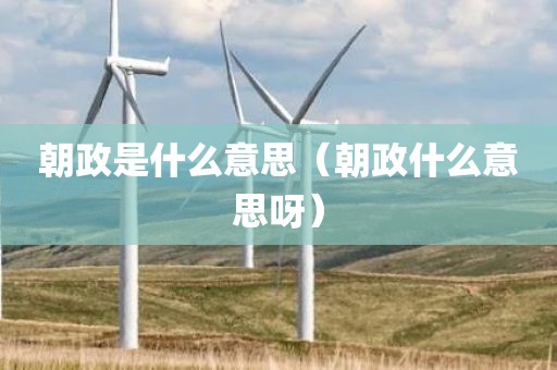 朝政是什么意思（朝政什么意思呀）