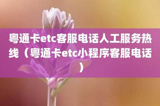 粤通卡etc客服电话人工服务热线（粤通卡etc小程序客服电话）