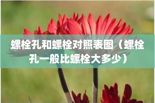 螺栓孔和螺栓对照表图（螺栓孔一般比螺栓大多少）