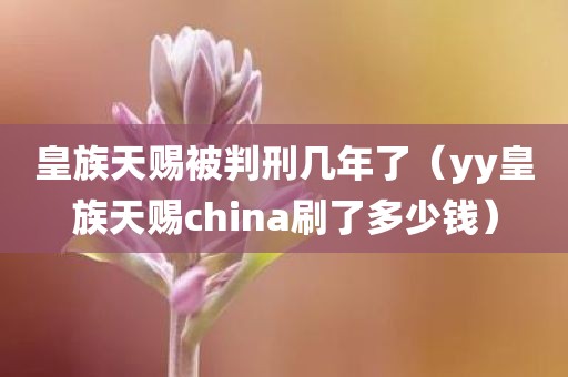 皇族天赐被判刑几年了（yy皇族天赐china刷了多少钱）