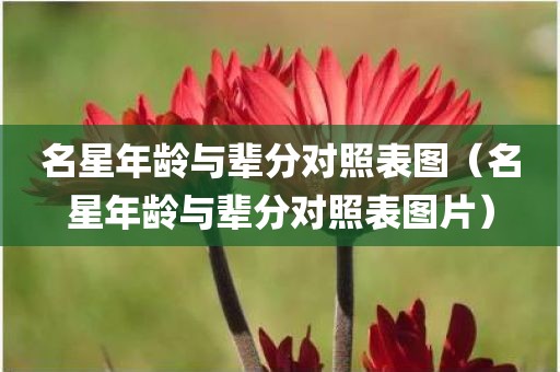 名星年龄与辈分对照表图（名星年龄与辈分对照表图片）