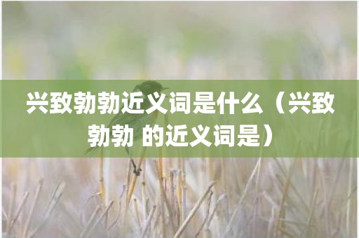 兴致勃勃近义词是什么（兴致勃勃 的近义词是）