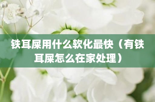 铁耳屎用什么软化最快（有铁耳屎怎么在家处理）