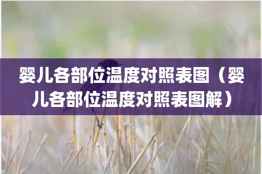婴儿各部位温度对照表图（婴儿各部位温度对照表图解）