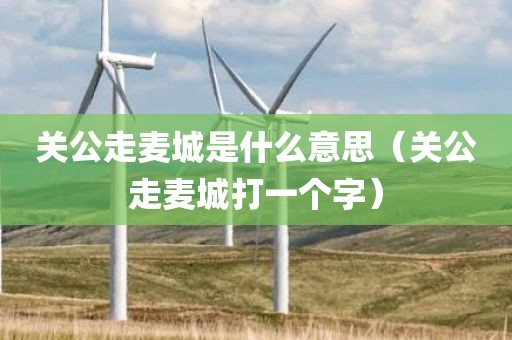 关公走麦城是什么意思（关公走麦城打一个字）