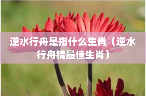 逆水行舟是指什么生肖（逆水行舟猜最佳生肖）