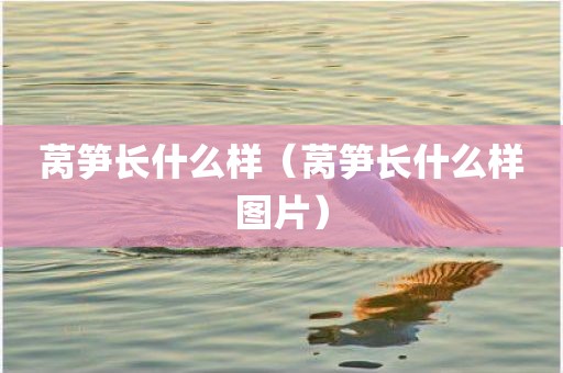 莴笋长什么样（莴笋长什么样图片）