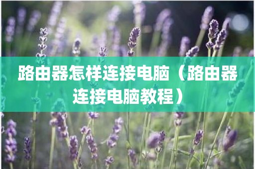 路由器怎样连接电脑（路由器连接电脑教程）