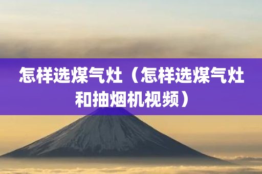 怎样选煤气灶（怎样选煤气灶和抽烟机视频）
