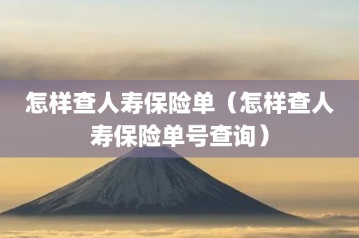 怎样查人寿保险单（怎样查人寿保险单号查询）