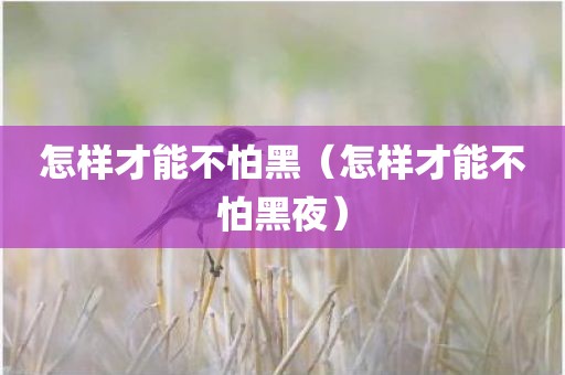 怎样才能不怕黑（怎样才能不怕黑夜）