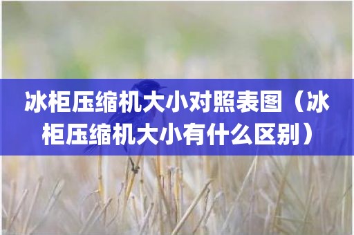 冰柜压缩机大小对照表图（冰柜压缩机大小有什么区别）
