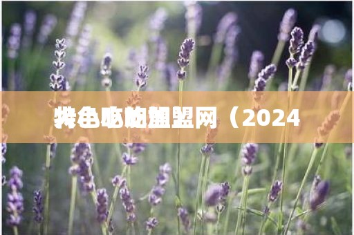 特色小吃加盟网(2024
火小吃加盟)