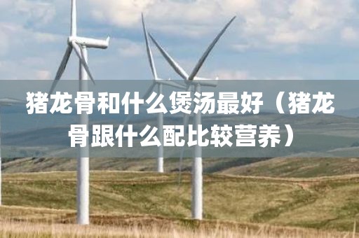 猪龙骨和什么煲汤最好（猪龙骨跟什么配比较营养）