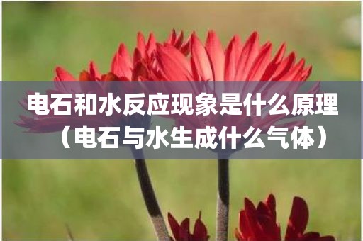 电石和水反应现象是什么原理（电石与水生成什么气体）