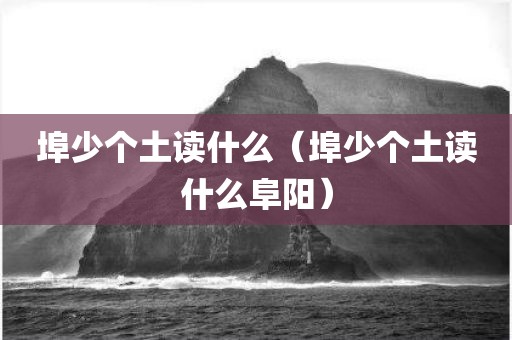 埠少个土读什么（埠少个土读什么阜阳）