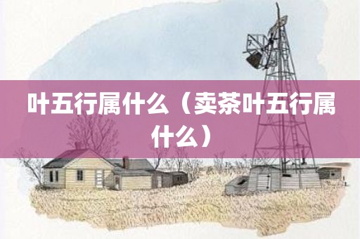 叶五行属什么（卖茶叶五行属什么）
