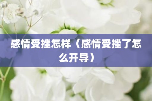 感情受挫怎样（感情受挫了怎么开导）