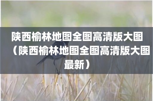 陕西榆林地图全图高清版大图（陕西榆林地图全图高清版大图最新）