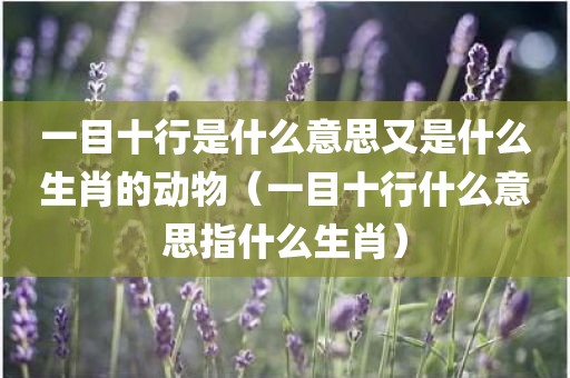 一目十行是什么意思又是什么生肖的动物（一目十行什么意思指什么生肖）