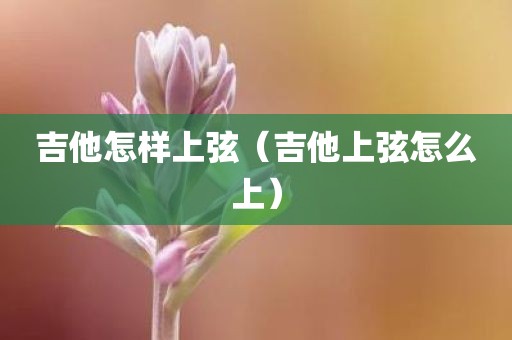 吉他怎样上弦（吉他上弦怎么上）