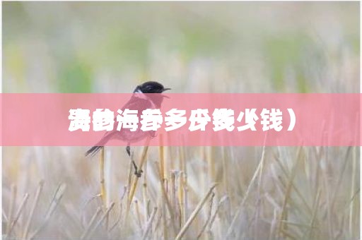 海参一斤多少钱（贵的海参一斤多少钱）