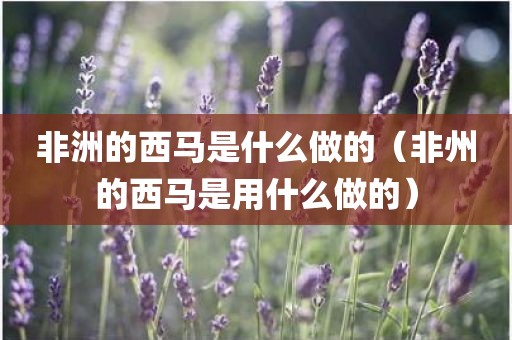 非洲的西马是什么做的（非州的西马是用什么做的）