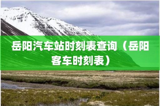岳阳汽车站时刻表查询（岳阳客车时刻表）
