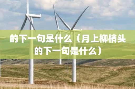 的下一句是什么（月上柳梢头的下一句是什么）