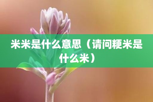 米米是什么意思（请问粳米是什么米）