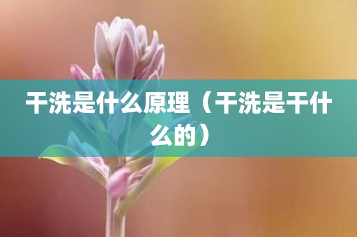 干洗是什么原理(干洗是干什么的)