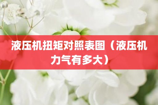 液压机扭矩对照表图（液压机力气有多大）