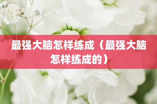 最强大脑怎样练成（最强大脑怎样练成的）