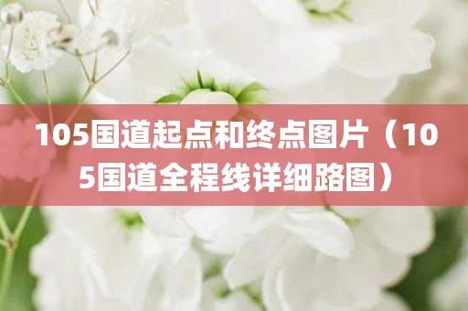 105国道起点和终点图片（105国道全程线详细路图）