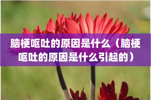 脑梗呕吐的原因是什么（脑梗呕吐的原因是什么引起的）
