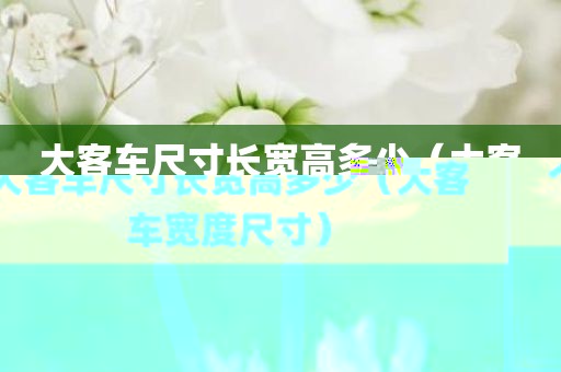 大客车尺寸长宽高多少(大客车宽度尺寸)