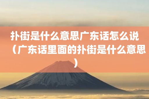 扑街是什么意思广东话怎么说（广东话里面的扑街是什么意思）