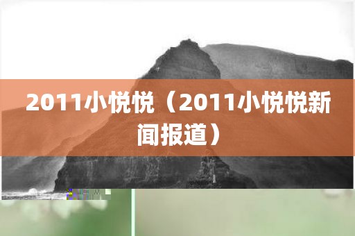 2011小悦悦（2011小悦悦新闻报道）