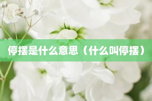 停摆是什么意思（什么叫停摆）