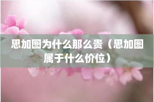 思加图为什么那么贵（思加图属于什么价位）