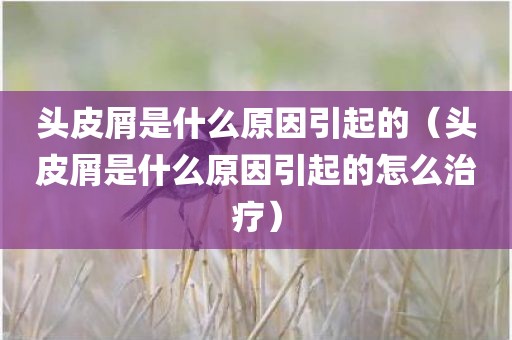 头皮屑是什么原因引起的（头皮屑是什么原因引起的怎么治疗）