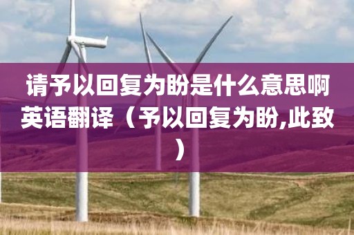 请予以回复为盼是什么意思啊英语翻译（予以回复为盼,此致）