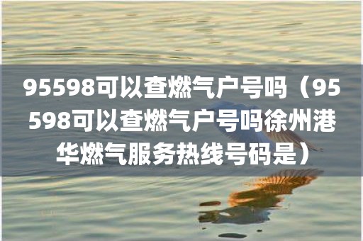 95598可以查燃气户号吗（95598可以查燃气户号吗徐州港华燃气服务热线号码是）