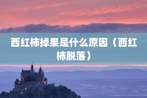西红柿掉果是什么原因（西红柿脱落）