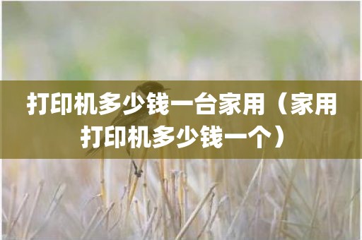 打印机多少钱一台家用（家用打印机多少钱一个）
