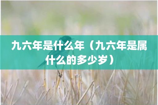九六年是什么年（九六年是属什么的多少岁）