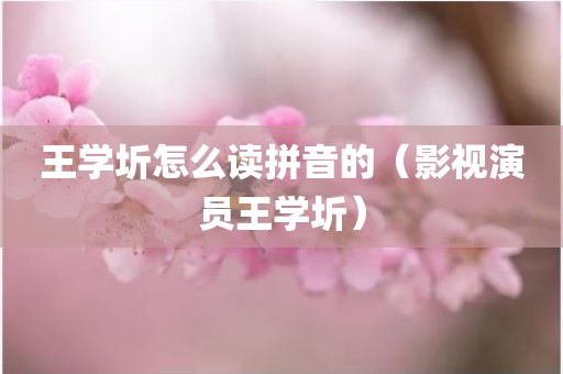 王学圻怎么读拼音的（影视演员王学圻）