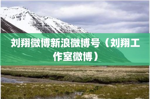 刘翔微博新浪微博号（刘翔工作室微博）
