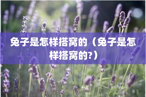 兔子是怎样搭窝的（兔子是怎样搭窝的?）